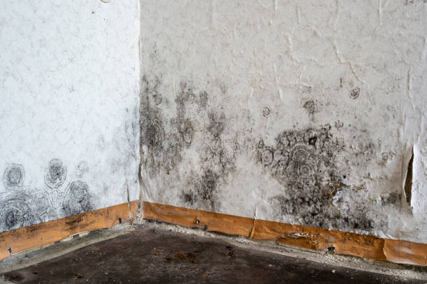 Fire Damage Restoration